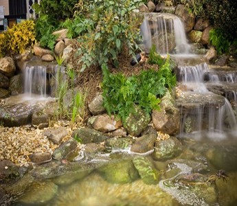 Attention Grabbing Water Features